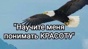 Научите МЕНЯ ПОНИМАТЬ КРАСОТУ | Песня - МОЛИТВА из к/ф МУСОРЩИК