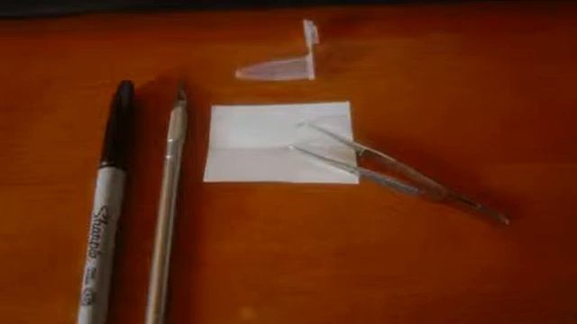 Pollen collection and storage video Brugmansia Passiflora Hibiscus Amaryllis смотреть онлайн