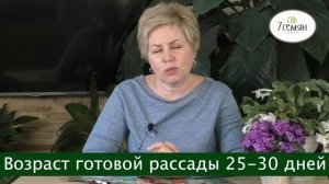 КАКИЕ ОВОЩИ МОЖНО ПОСЕЯТЬ В АПРЕЛЕ НА РАССАДУ, А КАКИЕ МОЖНО УЖЕ В ОТКРЫТЫЙ ГРУНТ!