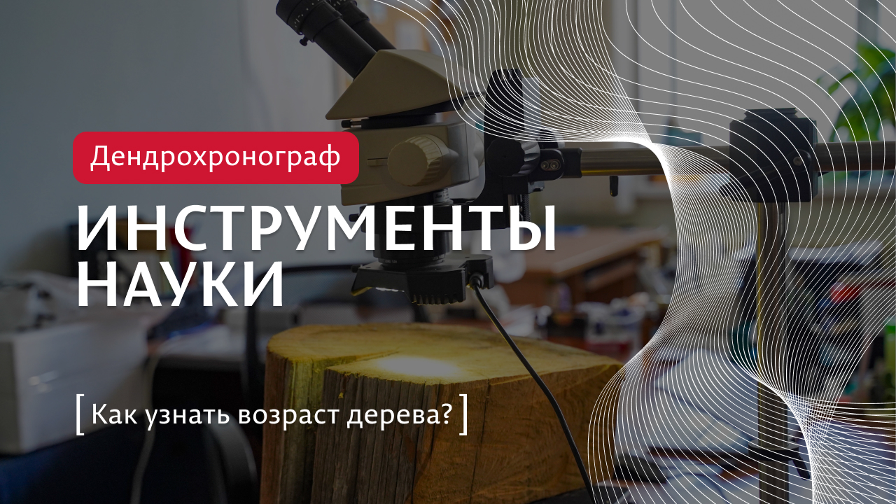 КАК УЗНАТЬ ВОЗРАСТ ДЕРЕВА? | Инструменты науки: дендрохронограф