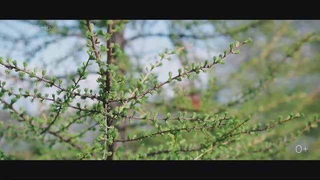 Прекрасная весна /Тюменская область