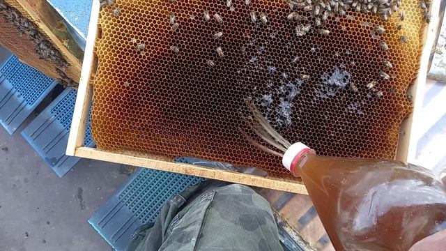 Подготовка к главному взятку. Результат стимуляции смотреть онлайн