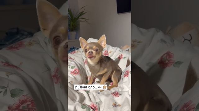 12 марта 2022 г. смотреть онлайн