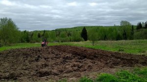 МТЗ 112н-01.  Нарезка гребней под картофель.