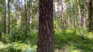 Горное озеро Бараус