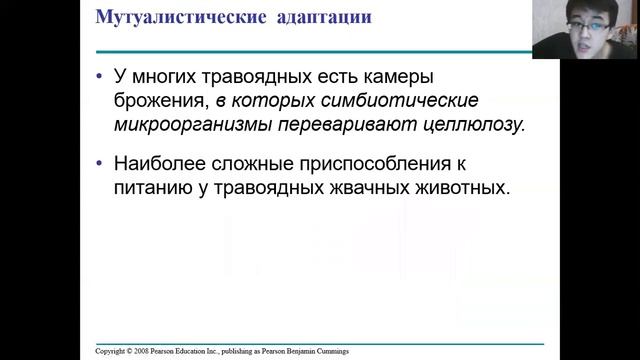 Урок 5. Пищеварительная система. Всасывание питательных веществ