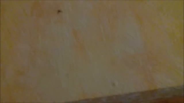 Как выгнать паука смотреть онлайн