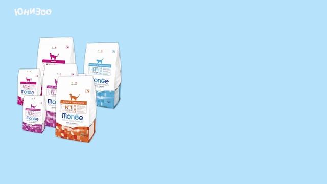 Правильное питание для котят - Monge Kitten смотреть онлайн