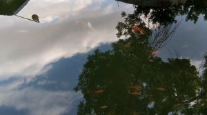 Улица Сырдарьинская и Вечерний Худжанд 2020/ Таджикистан