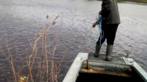 Ловим рыбу кастинговой сетью