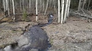 Путешествие в Суйсарь / Travelling to Suisar'