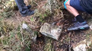 Гора Ольховая Приморский край сентябрь 2023.