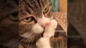 415 база ответьте