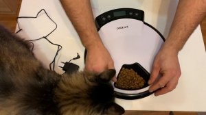 АВТОКОРМУШКА ДЛЯ КОШЕК И СОБАК # Automatic cat and dog feeder.
