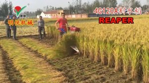 Мотоблок с жатками косилка