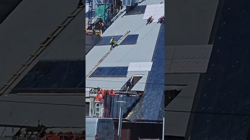1 июня 2024 г.