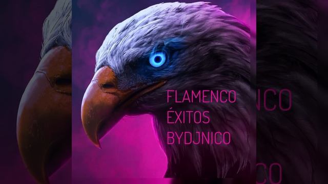 FLAMENCO EXITOS BYDJNICO смотреть онлайн