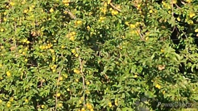 Сегодня купили мойву. Орхей смотреть онлайн