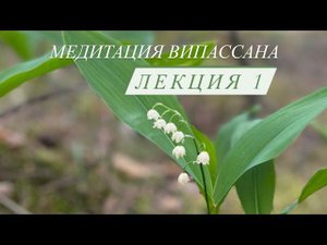 Медитация Випассана Лекция 1