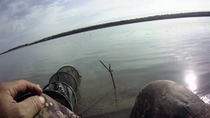 вот что значит острые крючки.