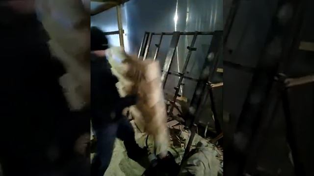 Наше производство поддонов смотреть онлайн