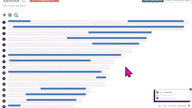DNA Painter Library of Matches: A Powerful Tool to Decode Relationships