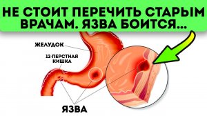 7 рецептов, латающих дыры в желудке и двенадцатиперстной кишке