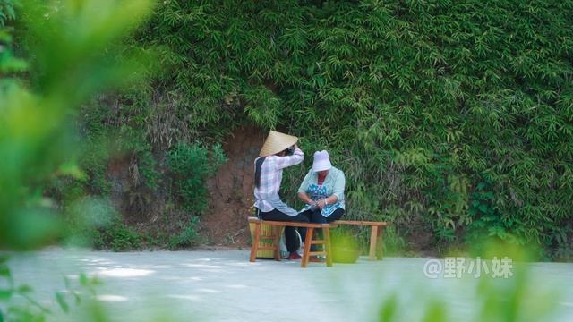 如何用蚕豆制作凉粉美食和蒜苔的长期保存方法｜Use broad bean to make Bean jelly food and garlic moss preservation method｜野小