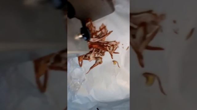 Ухорезка Kolbe смотреть онлайн