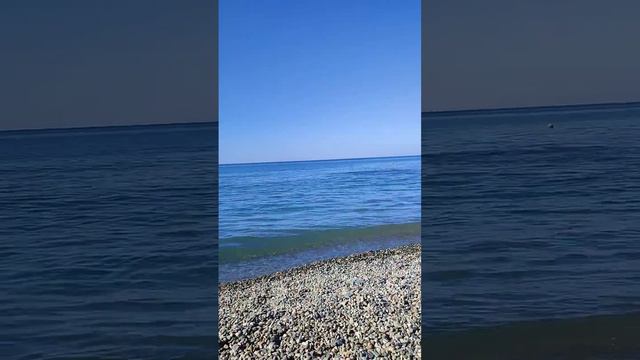 31 октября день Черного моря#море #пальмы #мойотпуск