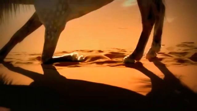 Дарьяна /ПОСЛУШАЙ/2018 смотреть онлайн