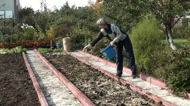 Восстановление плодородия почвы после уборки урожая
