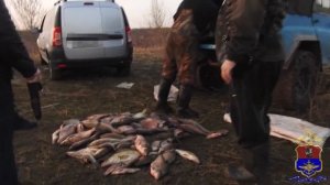 Полиция на водном транспорте задержала браконьеров, выловивших 275 рыб из реки Оки в Подмосковье