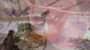 Дегтярное мыло для орхидей. Слабонервным не смотреть.