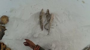 Рыбалка на Зейском водохранилище Амурской области.