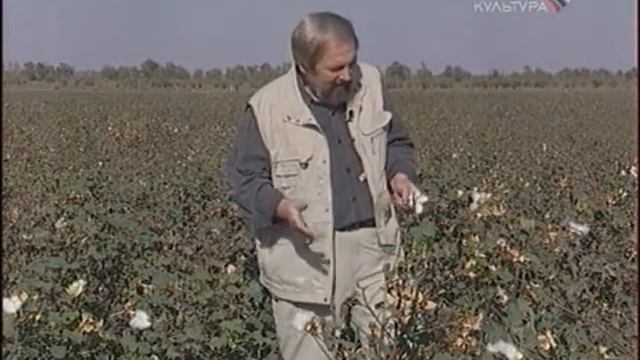 История распятая в пространстве 09 смотреть онлайн