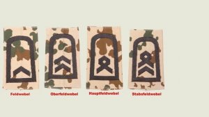 Звания и знаки различия германской армии