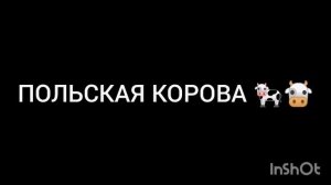 МЕМНЫЕ ПЕСНИ