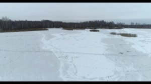 Торфянка в январе 2020 г.