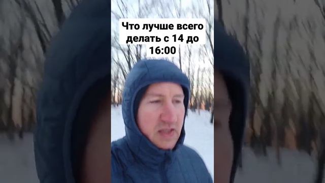 Как время суток влияет на наши физиологические процессы, что лучше всего делать с 14 до 18:00