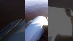 Лодка Жерех 310 и мотор Меркури 3.3 на западной Двине.