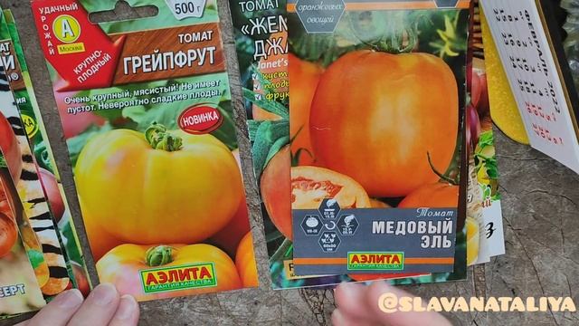 Помидорные новинки