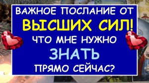 ? ЧТО МНЕ НУЖНО ЗНАТЬ ПРЯМО СЕЙЧАС? СОВЕТ ОТ ВЫСШИХ СИЛ. ?