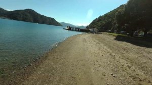 Обзор продуктового рынка в Новой Зеландии