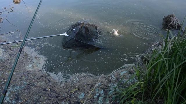 Рыбалка смотреть онлайн