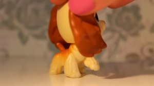 ☆ My LPS Cocker Spaniels ☆