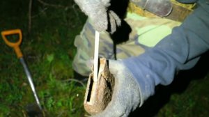 Коп в лесу.Александр(реставратор).№155