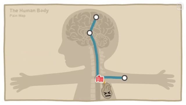 Откуда при инфаркте боль в руке? [Минутка Земли] смотреть онлайн
