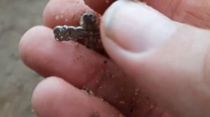 Автомобильный КОП 2022 на пляже поиск золота и серебра с металлоискателем отбых на природе