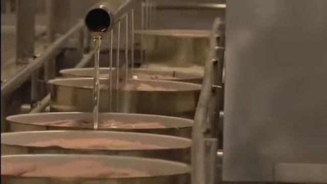 Португалия " Азорские острова " Дайвинг.